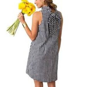 Tyler Boe Gingham Sleeveless Mini Dress